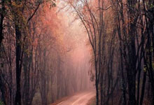 皇马属于哪个联赛？