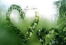 西甲新浪体育靠什么吸引球迷?