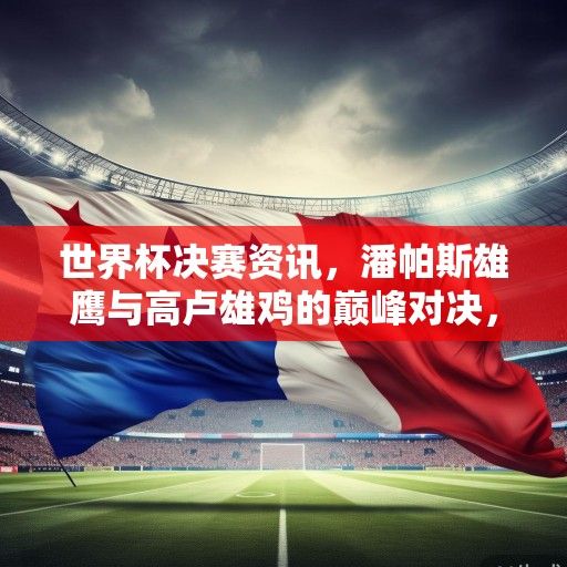 世界杯决赛资讯，潘帕斯雄鹰与高卢雄鸡的巅峰对决，37年等待终圆梦
