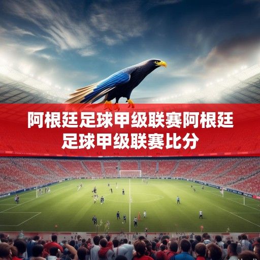 潘帕斯雄鹰的联赛图鉴，阿根廷足球甲级联赛的激情、荣耀与传承