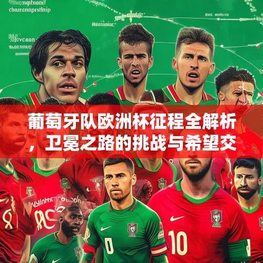 葡萄牙队欧洲杯征程全解析，卫冕之路的挑战与希望交织