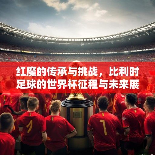 红魔的传承与挑战，比利时足球的世界杯征程与未来展望