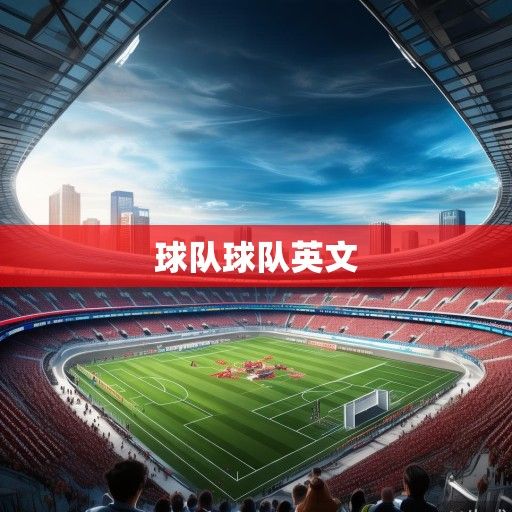 2024赛季中超联赛全景扫描，球队动态、格局演变与未来展望