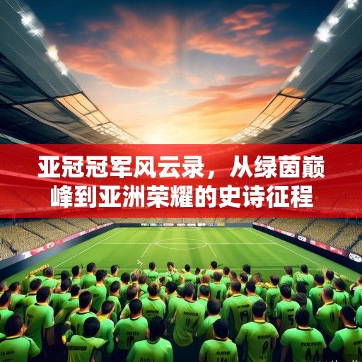 亚冠冠军风云录，从绿茵巅峰到亚洲荣耀的史诗征程